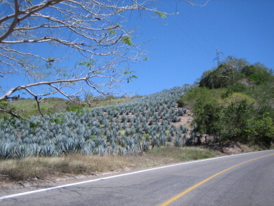 Mexico 076