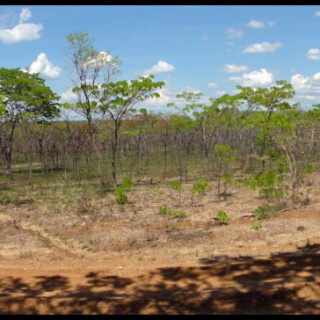 Mozambique_0070