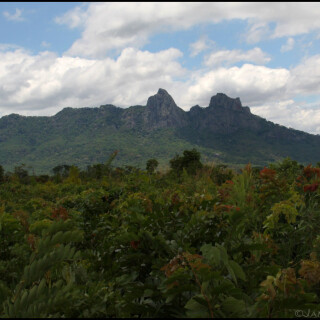 Mozambique_0263