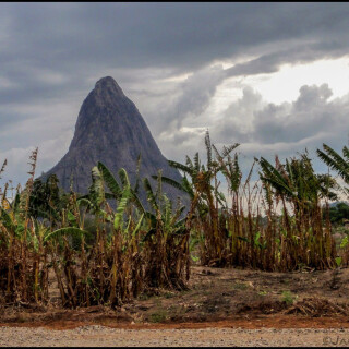 Mozambique_1083