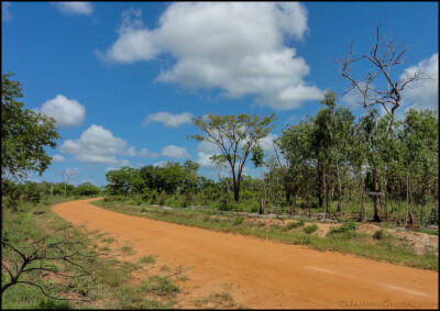 Mozambique 1983