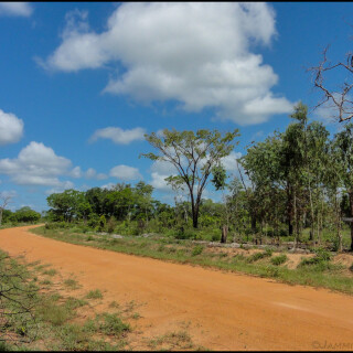 Mozambique_1983