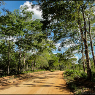 Mozambique_2276