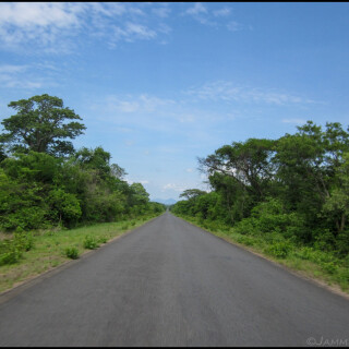 Mozambique_2425