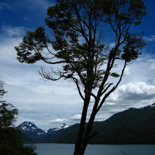 Patagonia_0191