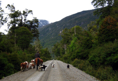 Patagonia 0936