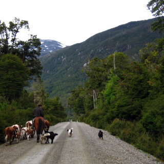 Patagonia_0936