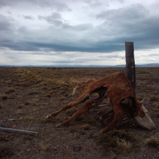 Patagonia_1059