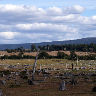 Patagonia_1424