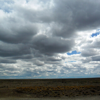 Patagonia_1584