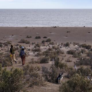 Patagonia_1634