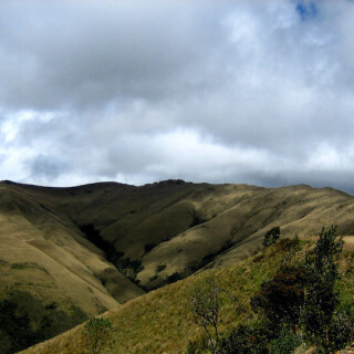 Peru_0235