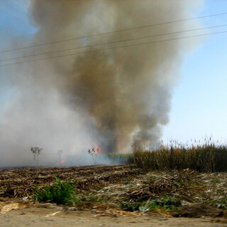 Peru_0361