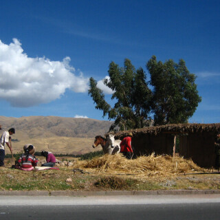 Peru_0994