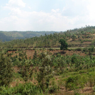 Rwanda_54