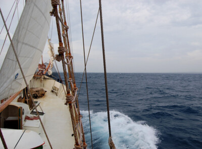 Sailing 230