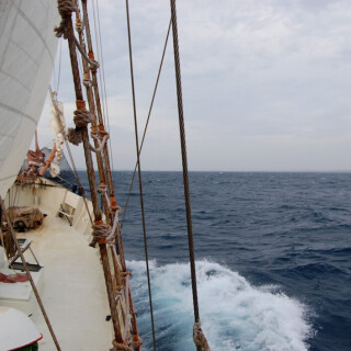 Sailing_230