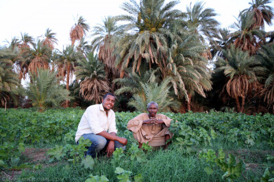 Sudan 224