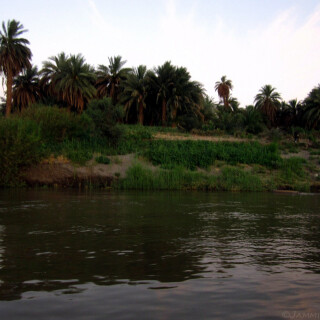 Sudan_244