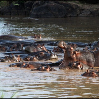 Tanzania_538