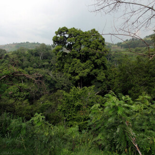 Uganda_063