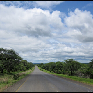 Zambia_1145